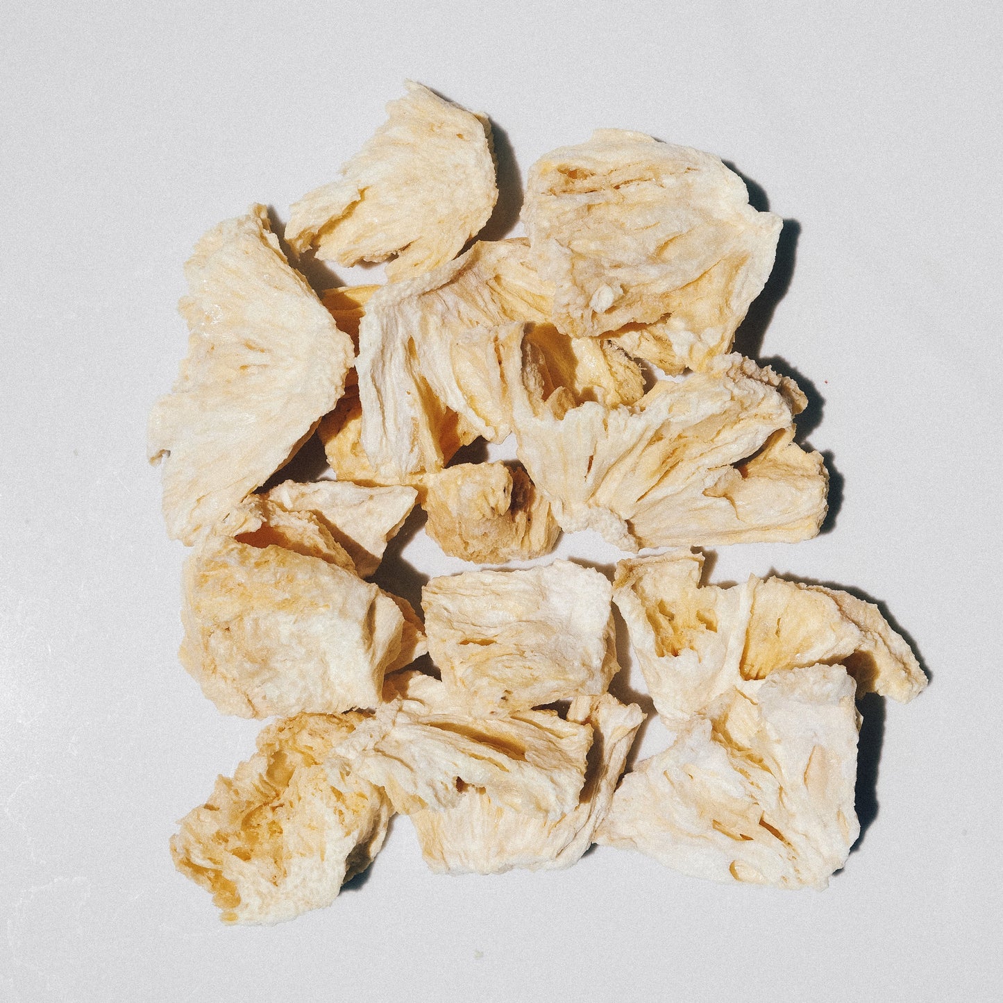 ESTYWELL LYO FRUITS