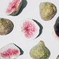 ESTYWELL LYO FRUITS