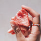 ESTYWELL LYO FRUITS